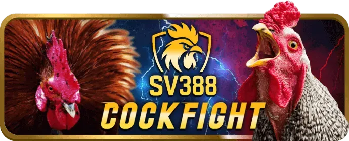 Gửi và rút tiền an toàn tại Kingbet86 App